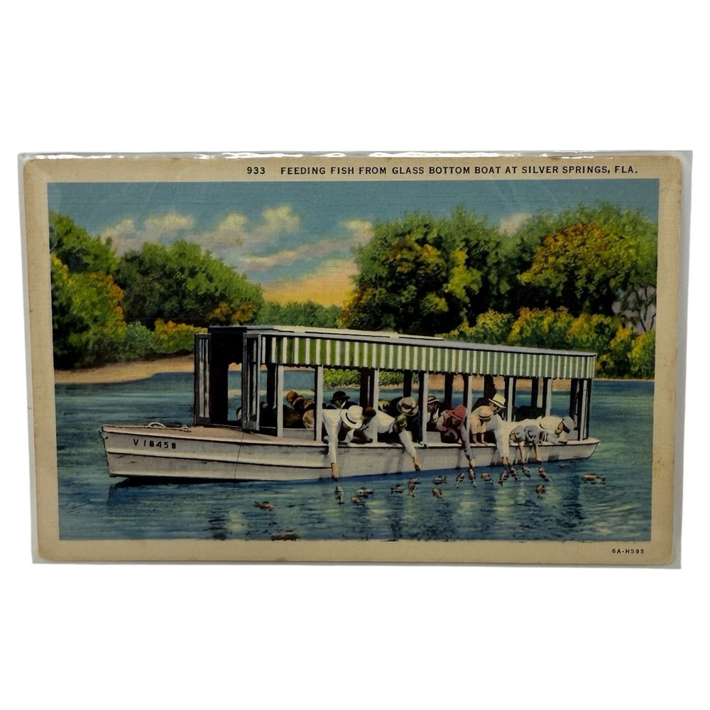 Vintage Linen Postcard Fish Feeding in a Glass Bottom Boat Silver Spring Florida